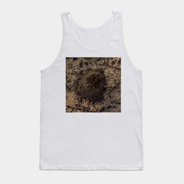 Emerging Ant Tank Top by arc1